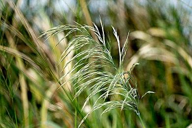 《彩虹六号：围攻》Y6S4“登峰造极”实机演示 新英雄和地图重置