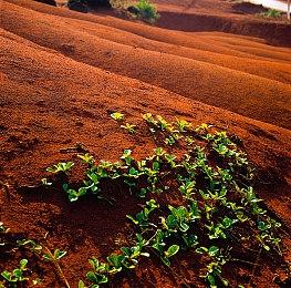 《如龙7外传：无名之龙》细节泄露：发售时间、截图